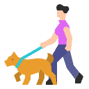 Dog Walks 